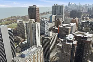 360 W Wellington Ave, Chicago, IL 60657 - Photo 29