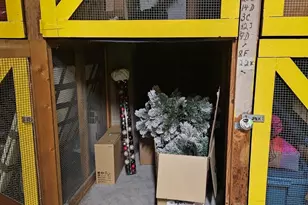 3900 N Lake Shore Dr, Chicago, IL 60613 - Photo 39