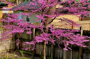 22 S Westlawn Ave, Aurora, IL 60506 - Photo 35