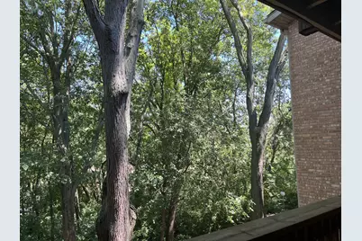 5817 Oakwood Drive #D, Lisle, IL 60532 - Photo 19