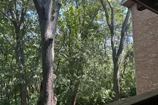 5817 Oakwood Dr, Lisle, IL 60532 - Photo 19