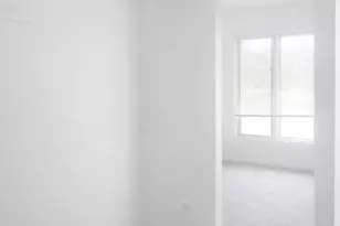 1050 Holbrook Rd, Homewood, IL 60430 - Photo 5