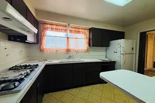 847 S 3rd Ave, Des Plaines, IL 60016 - Photo 7