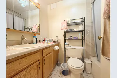 3021 S Michigan Avenue #306, Chicago, IL 60616 - Photo 9