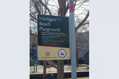 1127 W Albion Avenue, Chicago, IL 60626 - Photo 45