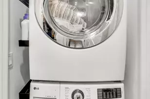 1036 N Paulina St, Chicago, IL 60622 - Photo 15