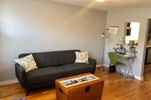 1901 S Ruble St, Chicago, IL 60616 - Photo 7