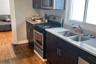 1901 S Ruble St, Chicago, IL 60616 - Photo 13