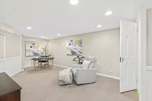 267 N Larch Ave, Elmhurst, IL 60126 - Photo 23