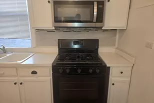 1019 N Trumbull Ave, Chicago, IL 60651 - Photo 7