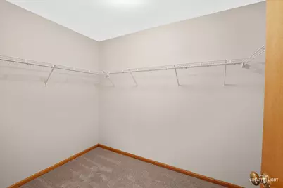 22123 Pembrook Drive, Frankfort, IL 60423 - Photo 21