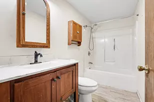 285 E 1st St, Braidwood, IL 60408 - Photo 19