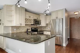 2 E Erie St, Chicago, IL 60611 - Photo 3