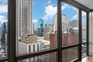 2 E Erie St, Chicago, IL 60611 - Photo 13