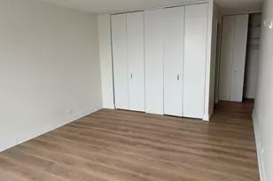 901 S Plymouth Ct, Chicago, IL 60605 - Photo 13