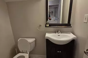 216 Whitewood Dr, Streamwood, IL 60107 - Photo 15