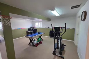 906 Cynthia Ln, Lake in the Hills, IL 60156 - Photo 31