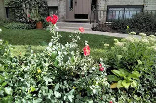 1706 Northfield Square, Northfield, IL 60093 - Photo 3