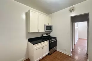 1157 W Lunt Ave, Chicago, IL 60626 - Photo 3