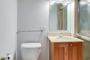 320 W Evergreen Ave, Chicago, IL 60610 - Photo 23