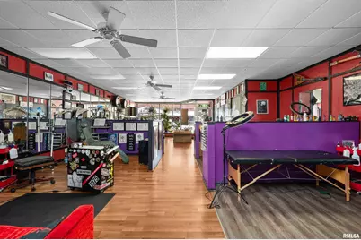 309 Main Street, Savanna, IL 61074 - Photo 13