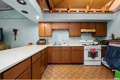 309 Main Street, Savanna, IL 61074 - Photo 47