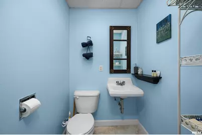 309 Main Street, Savanna, IL 61074 - Photo 31