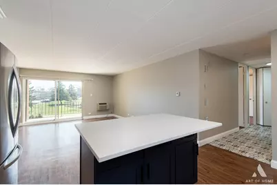 18 E Old Willow Road #205N, Prospect Heights, IL 60070 - Photo 9