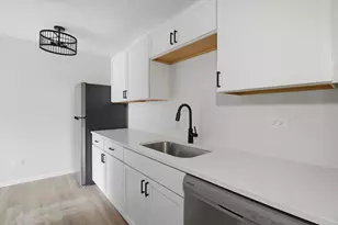 420 S Home Ave, Oak Park, IL 60302 - Photo 15