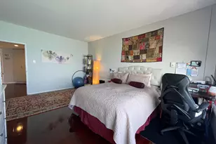 175 E Delaware Pl, Chicago, IL 60611 - Photo 23