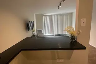 9098 W Terrace Dr, Niles, IL 60714 - Photo 15