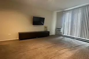 9098 W Terrace Dr, Niles, IL 60714 - Photo 9