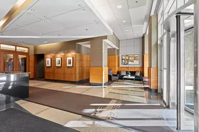 250 E Pearson Street #1601a, Chicago, IL 60611 - Photo 45