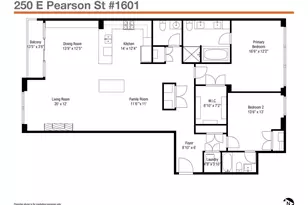 250 E Pearson St, Chicago, IL 60611 - Photo 47