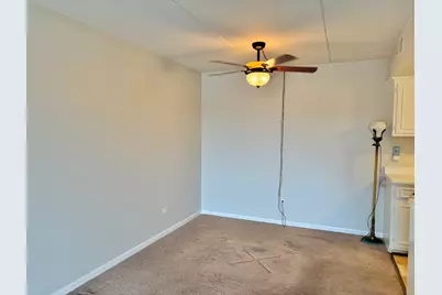 505 Redondo Drive #407, Downers Grove, IL 60516 - Photo 9