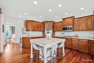 4119 Champion Rd, Naperville, IL 60564 - Photo 7