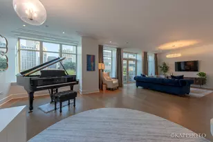 118 E Erie St, Chicago, IL 60611 - Photo 11