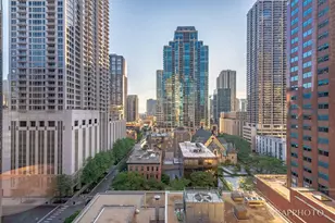 118 E Erie St, Chicago, IL 60611 - Photo 35