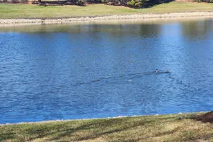 12804 Bradford Ln, Plainfield, IL 60585 - Photo 7