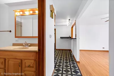 4618 Custer Avenue, Brookfield, IL 60513 - Photo 11