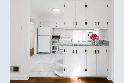 8727 Hamlin Avenue, Skokie, IL 60076 - Photo 11