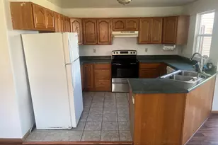 2520 E Clark St, Diamond, IL 60416 - Photo 3