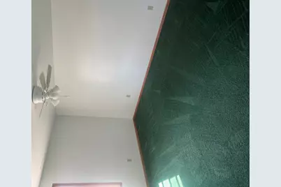 2520 E Clark Street, Diamond, IL 60416 - Photo 5