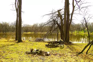 20915 W Walton Rd, Wilmington, IL 60481 - Photo 5