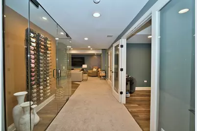 10 Raes Creek Court, Bolingbrook, IL 60490 - Photo 55