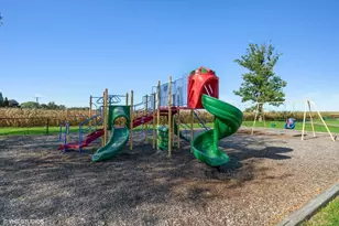 2S456 Cedar Ct, Elburn, IL 60119 - Photo 41