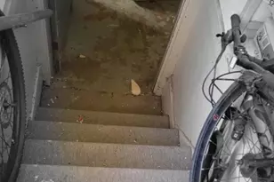 6220 N Talman Ave, Chicago, IL 60659 - Photo 15