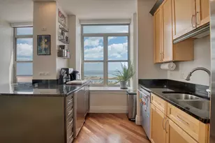 1717 S Prairie Ave, Chicago, IL 60616 - Photo 19