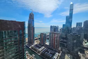 512 N McClurg Ct, Chicago, IL 60611 - Photo 3