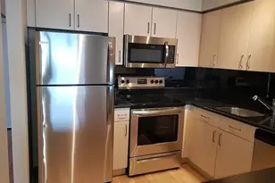 512 N McClurg Ct, Chicago, IL 60611 - Photo 5